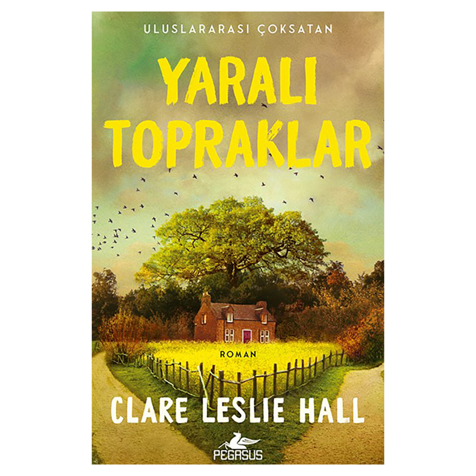 Yaralı Topraklar