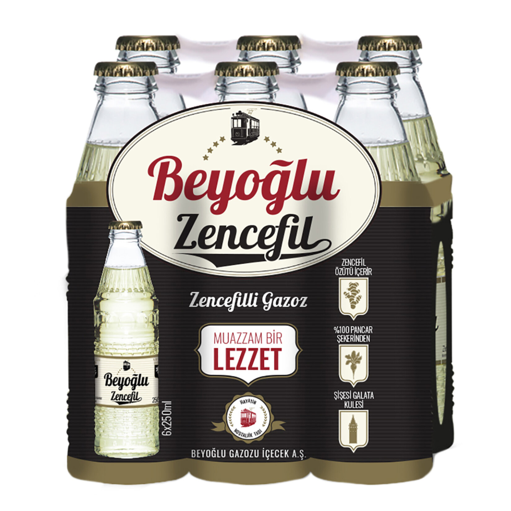 Beyoğlu Zencefilli Doğal Zengin Mineralli Gazlı İçecek 6 x 250 Ml