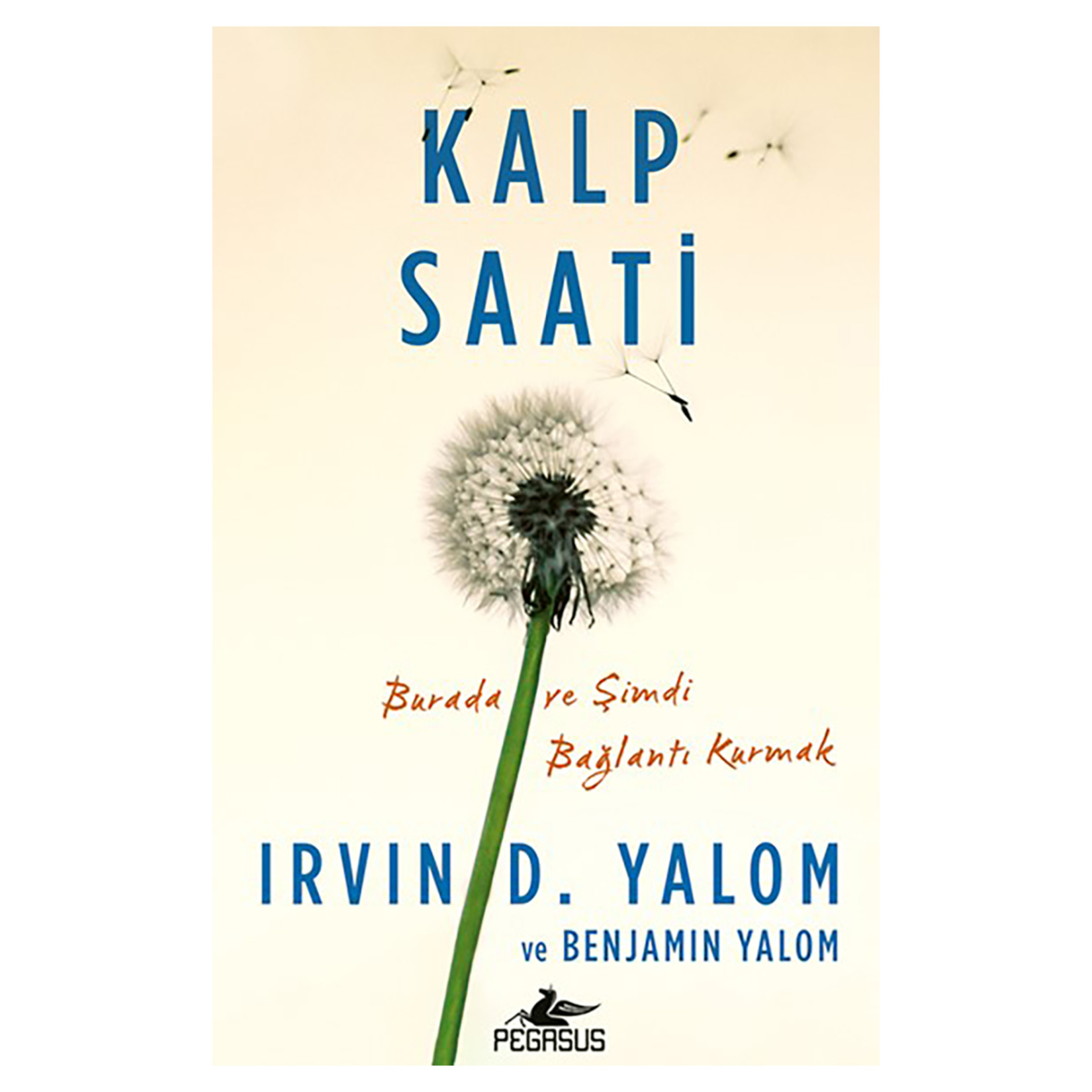 Kalp Saati